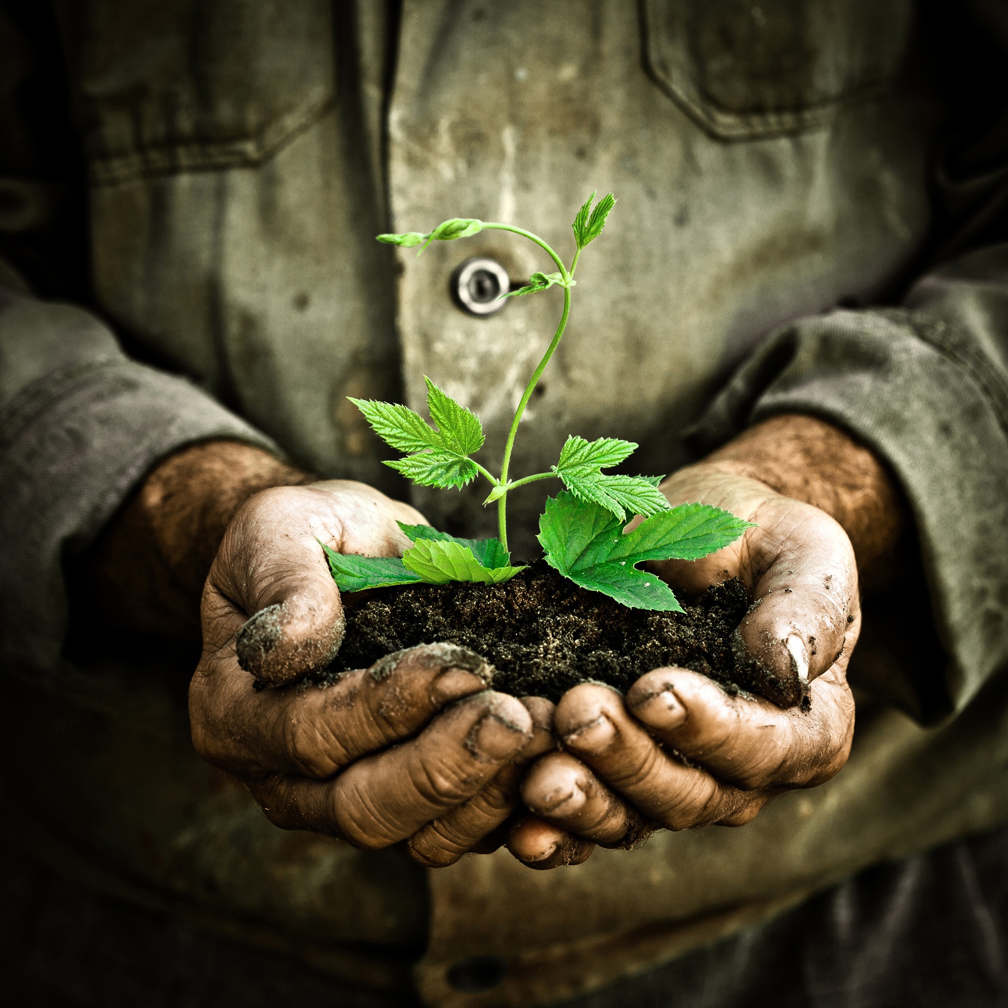 Alloy Wire planting trees for a better tomorrow - Alloy Wire International 2