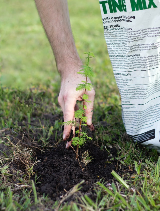 Alloy Wire planting trees for a better tomorrow - Alloy Wire International 1