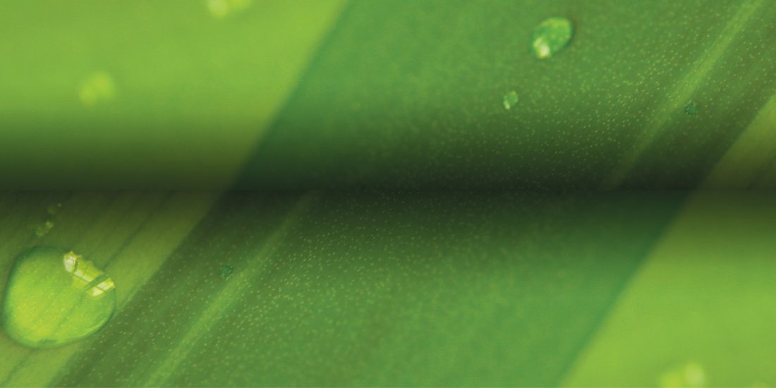 Trust Phynox to deliver in clinical and corrosive settings - Alloy Wire International 1